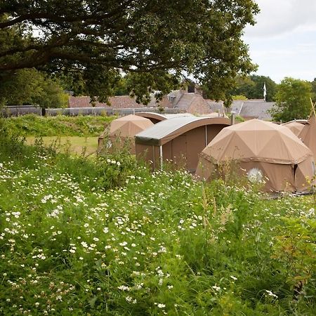 Durrell Wildlife Camp Ξενοδοχείο Trinity Δωμάτιο φωτογραφία