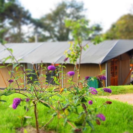 Durrell Wildlife Camp Ξενοδοχείο Trinity Εξωτερικό φωτογραφία
