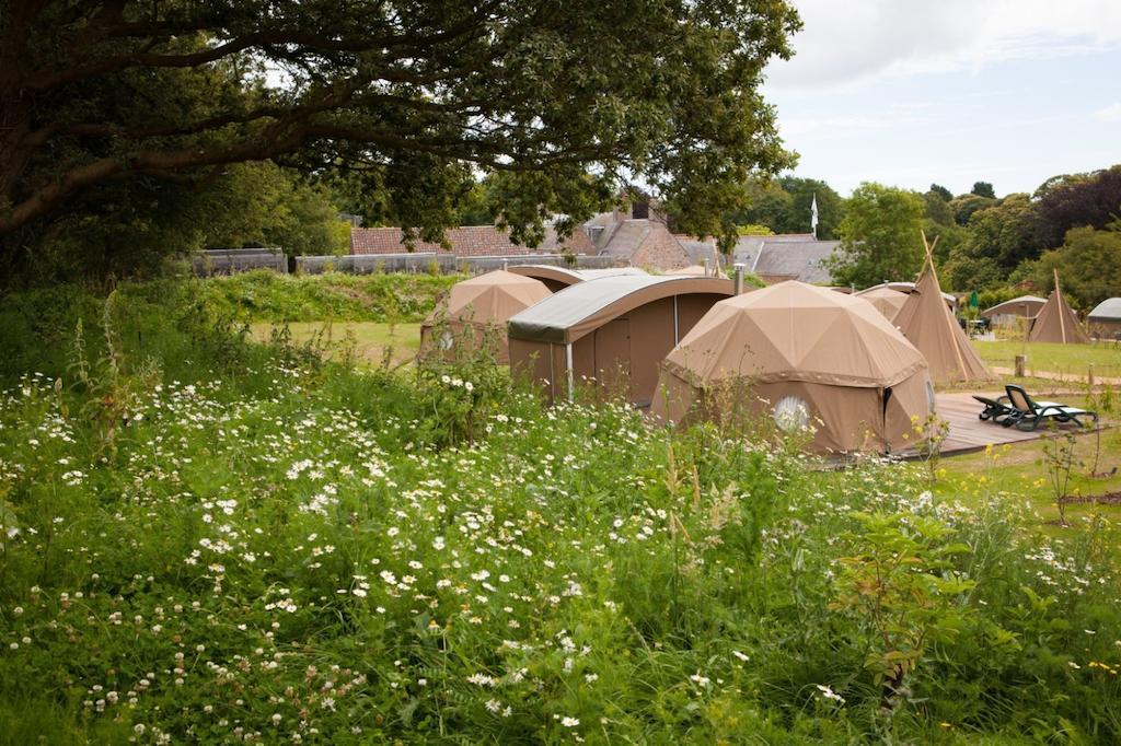 Durrell Wildlife Camp Ξενοδοχείο Trinity Δωμάτιο φωτογραφία