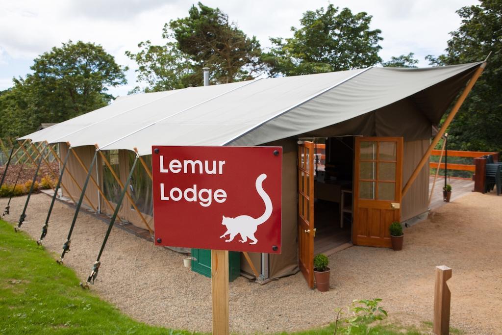 Durrell Wildlife Camp Ξενοδοχείο Trinity Εξωτερικό φωτογραφία