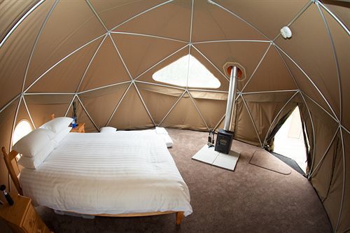 Durrell Wildlife Camp Ξενοδοχείο Trinity Εξωτερικό φωτογραφία