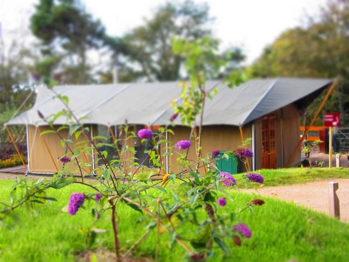 Durrell Wildlife Camp Ξενοδοχείο Trinity Εξωτερικό φωτογραφία